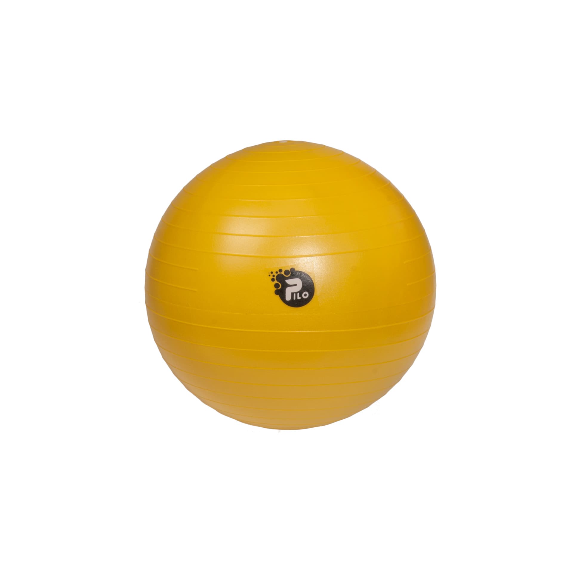 PILO-1045 Rehab ball 45cm
