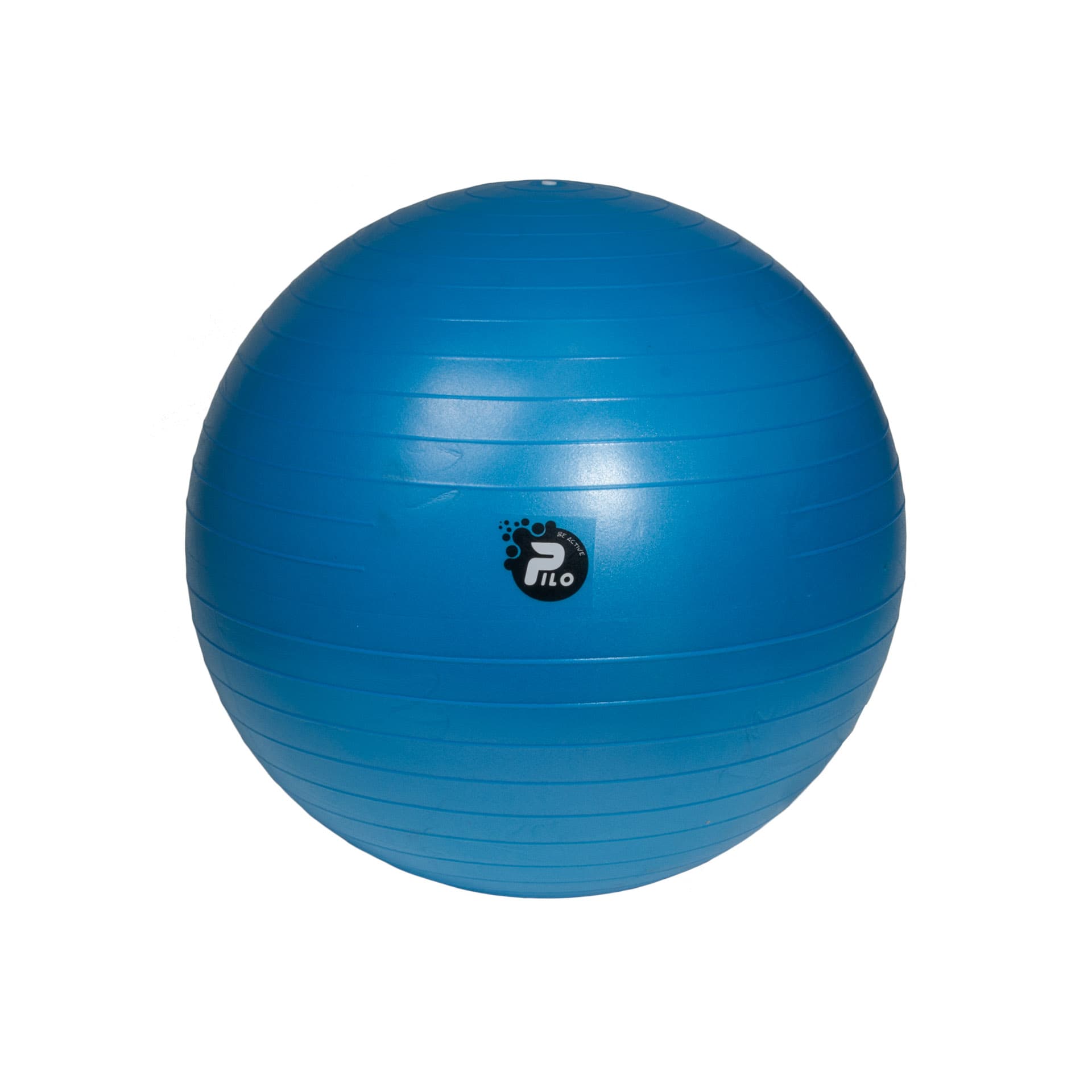 PILO-1055 Rehab ball 55cm