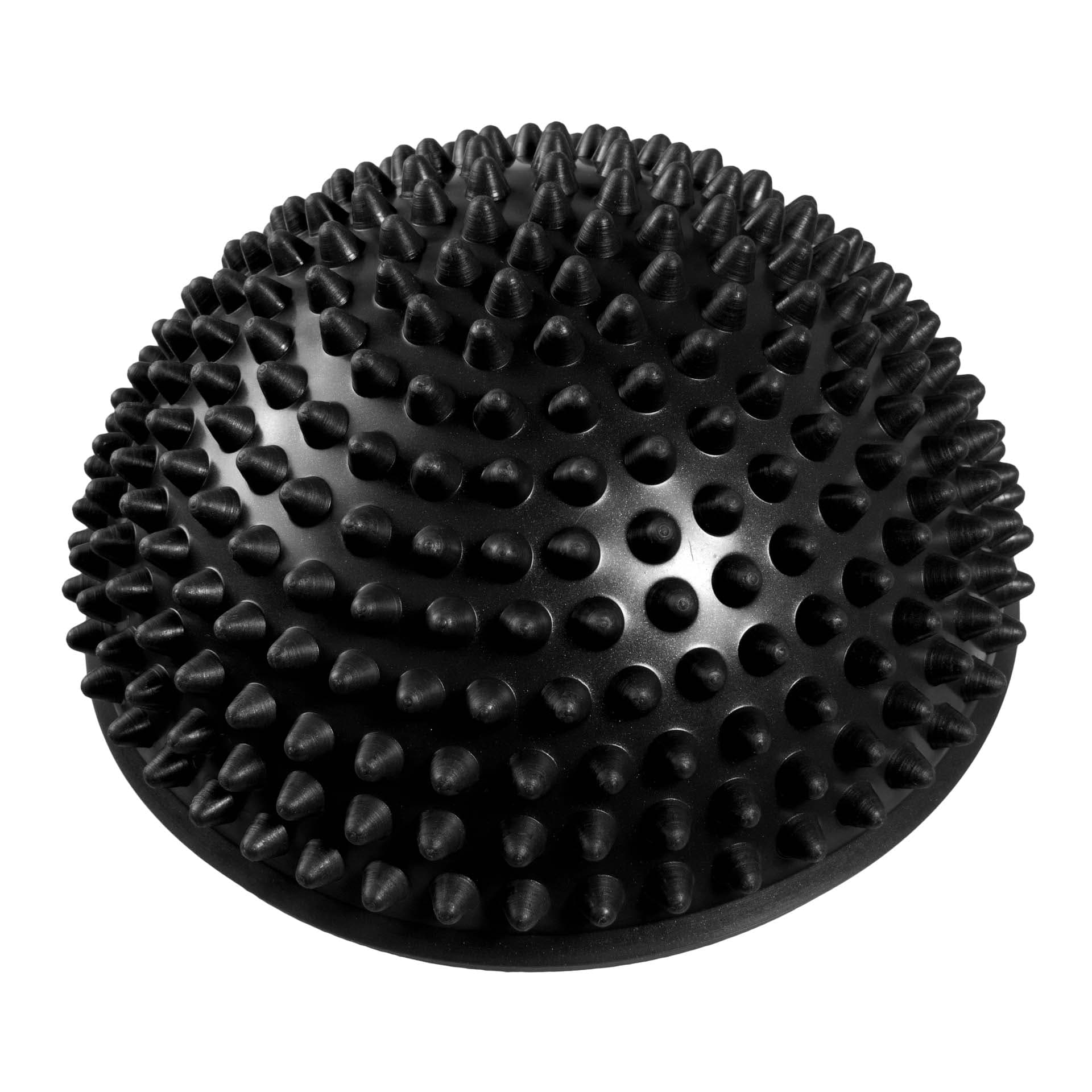 PILO-2010 Hedgehog sensory